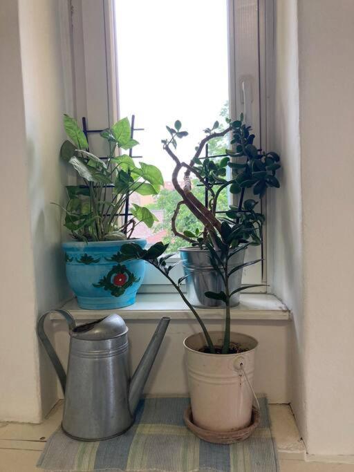 Apartament Oh Lola! Belgrad Zewnętrze zdjęcie