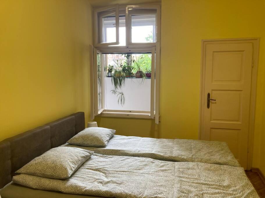 Apartament Oh Lola! Belgrad Zewnętrze zdjęcie
